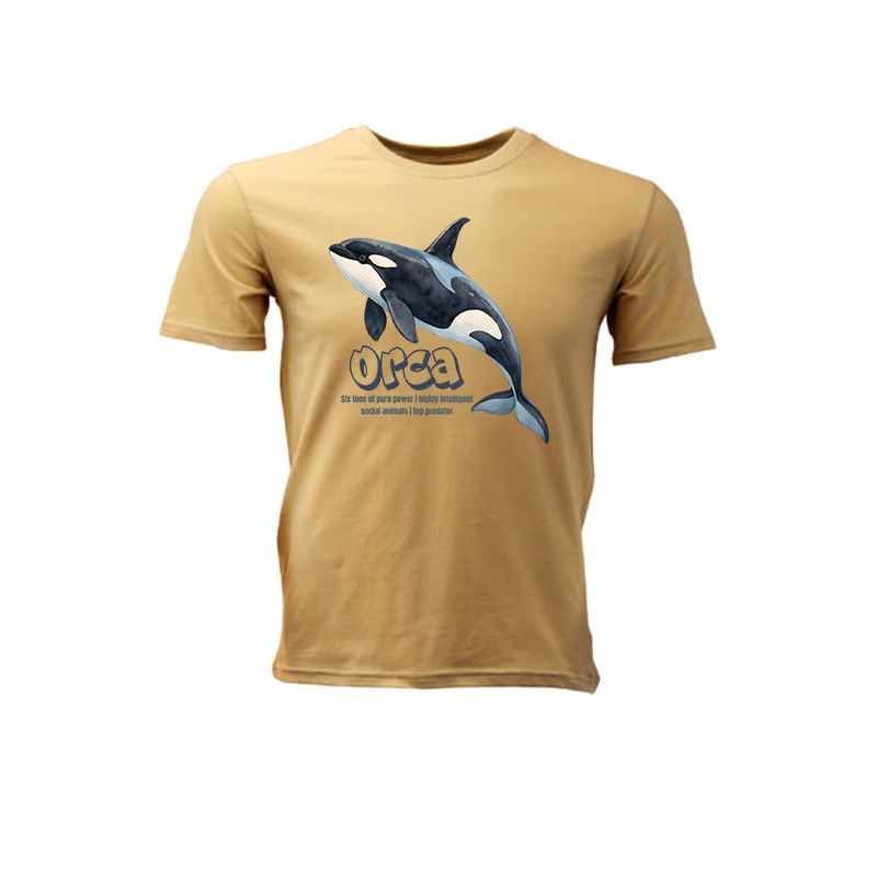 ORCA | Php 2:14
